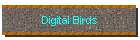 Digital Birds