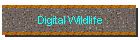 Digital Wildlife